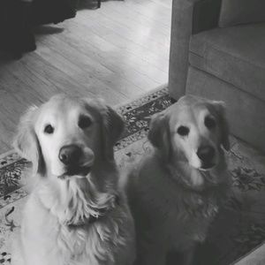 Meet your Posher, Joseph